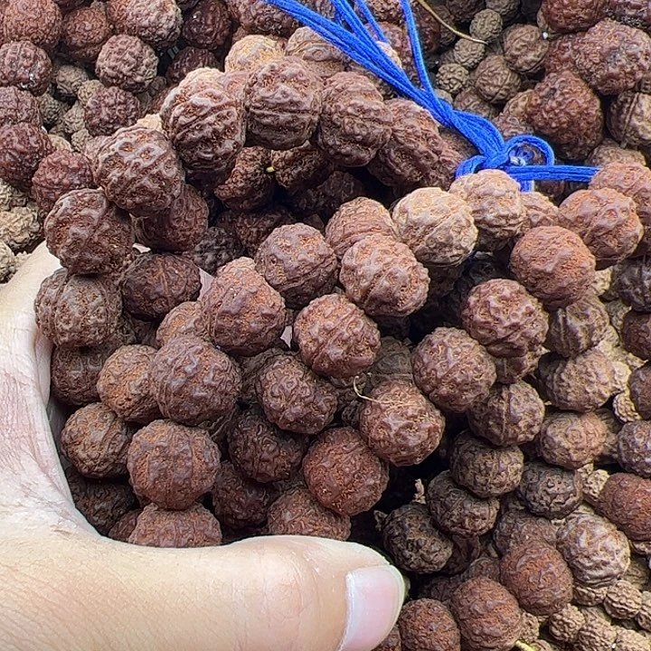 ****肉手串金刚菩提谢谢