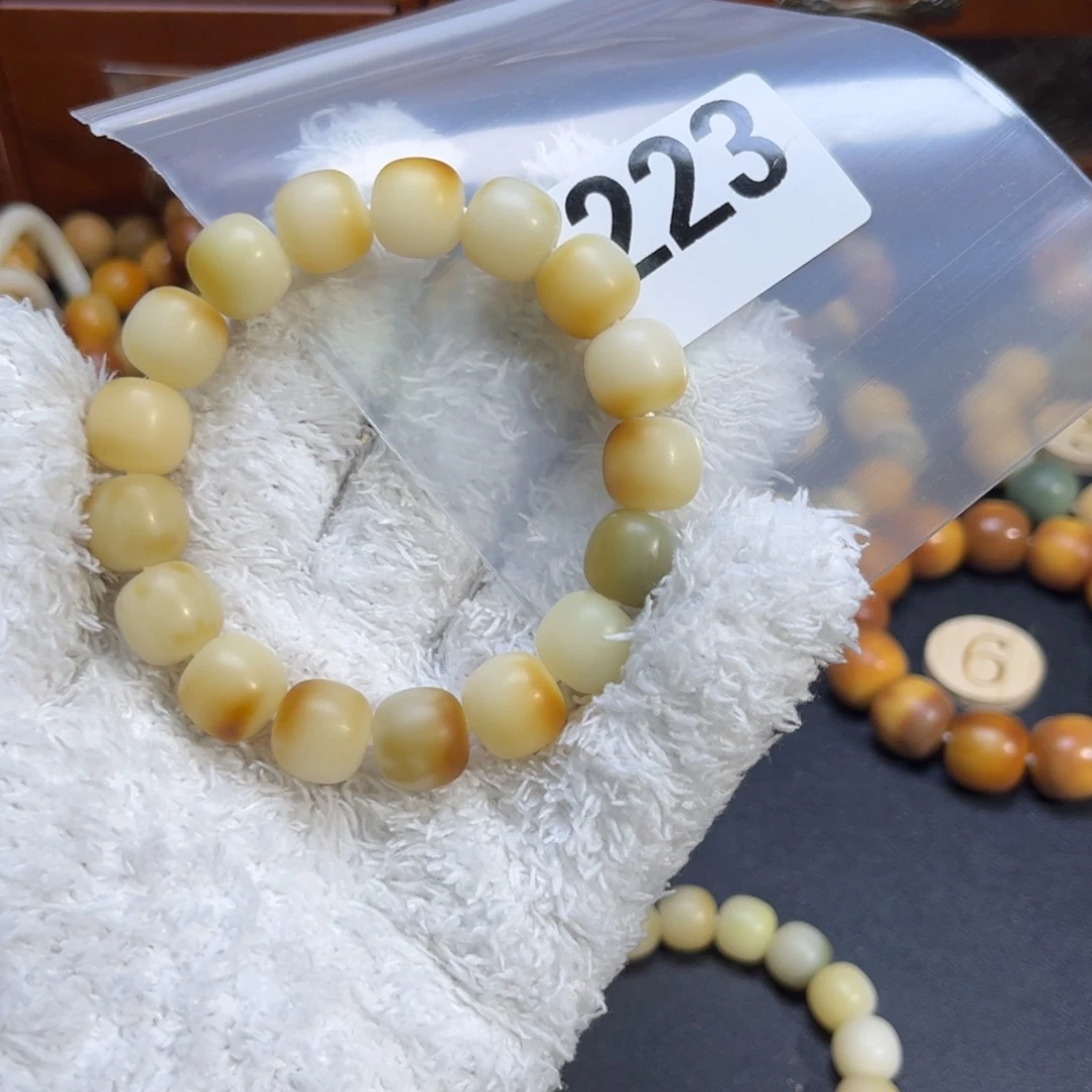 菩提根/象牙果吊坠223