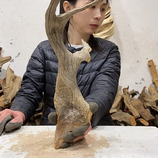 艾***柏柏木我们都是好孩子