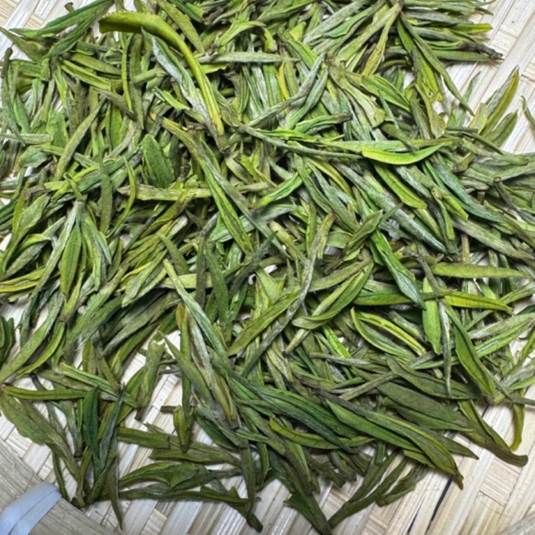 浙江绿茶安吉白茶头芽头采茶叶鲜爽