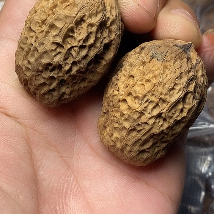 把件文玩核桃云南铁核桃22