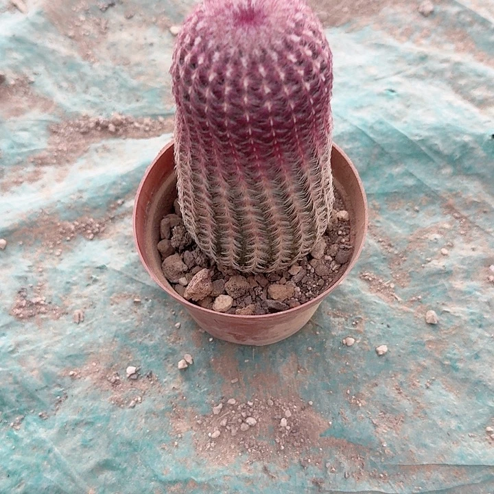 用***7哈哈哈哈哈哈哈哈哈哈