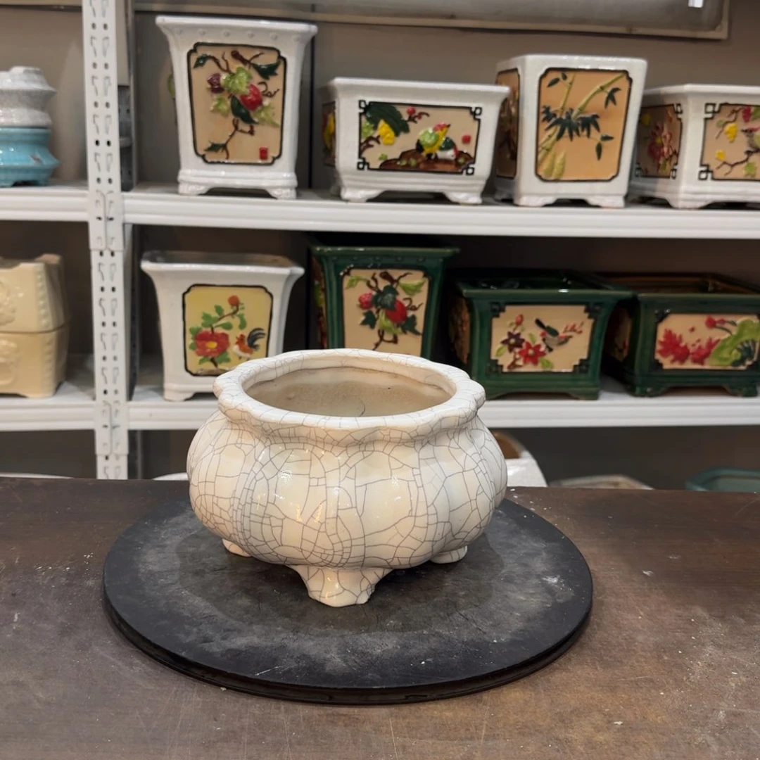 红陶望*22222222222