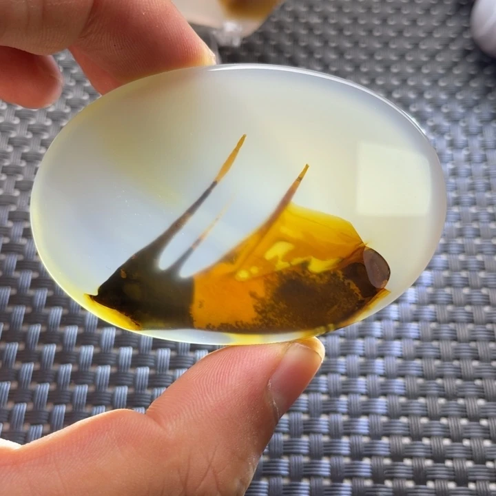 未镶嵌颈饰玛瑙/玉髓飞*