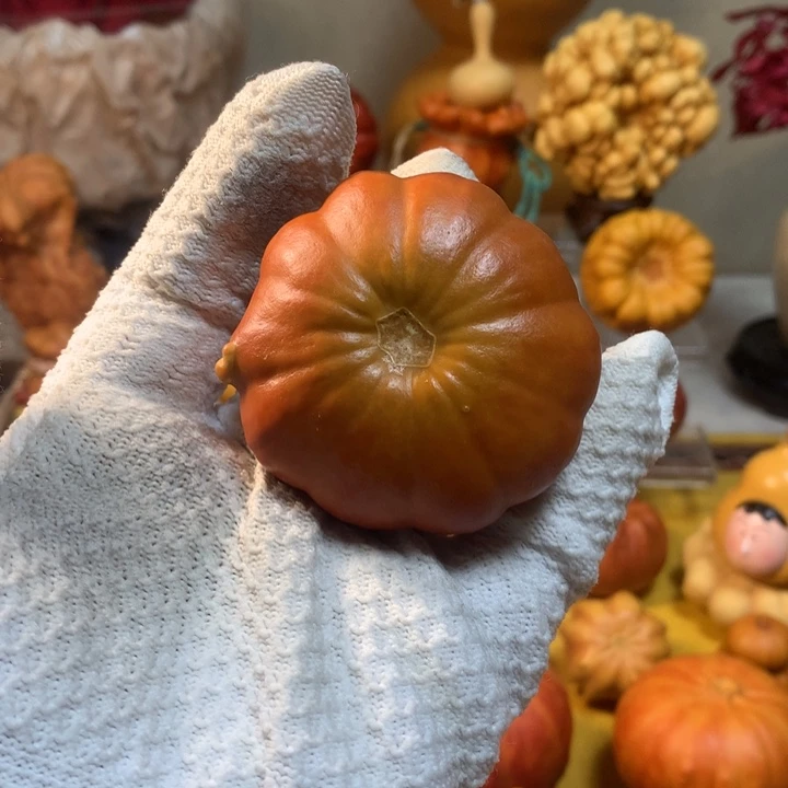 求讲解在拍4号链接