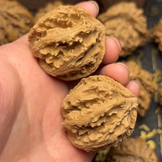 文玩核桃把件秦岭核桃9