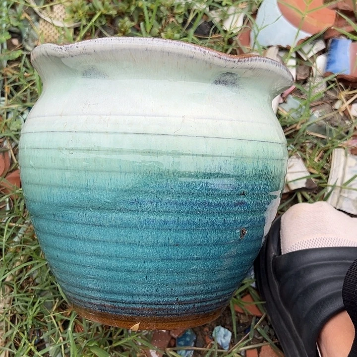 口19高19瑕疵。。。。。。。。。。。