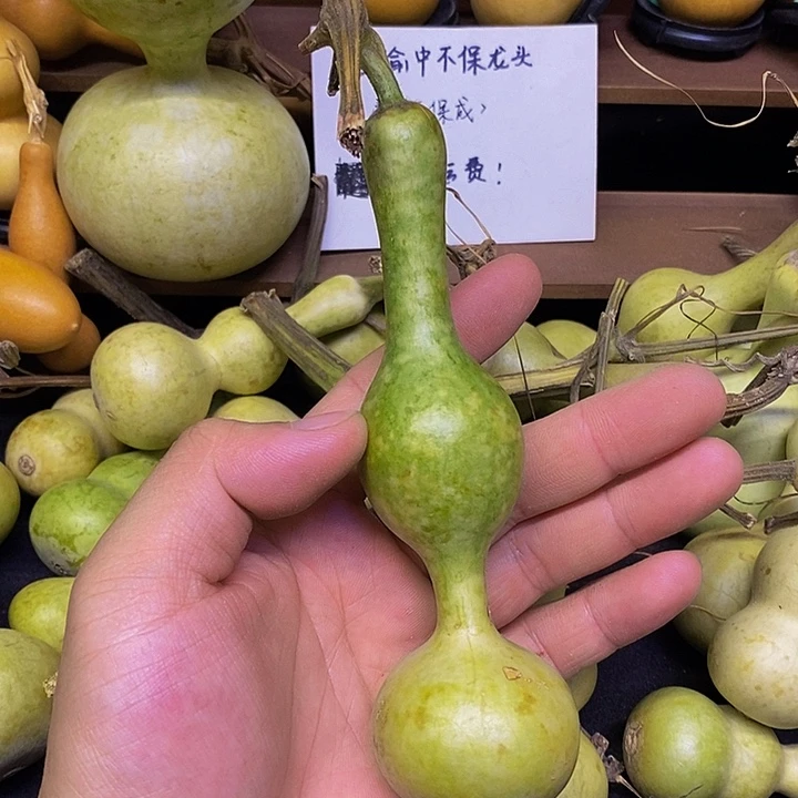 事**成长嘴哈哈哈哈哈哈哈哈哈哈回家路上