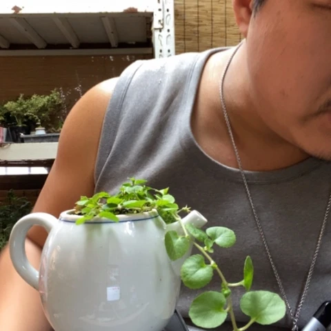 红陶高***姥一物一拍所见即所得129