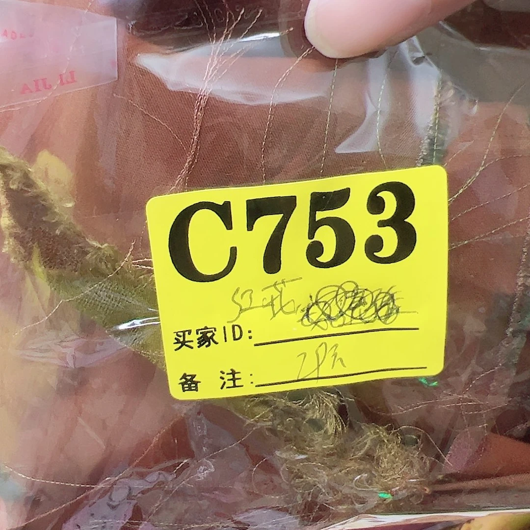 红***花无纺布753)@,?’bcc X