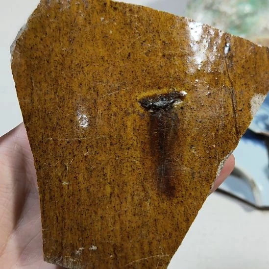 瓷片瓷片瓷片瓷片瓷片