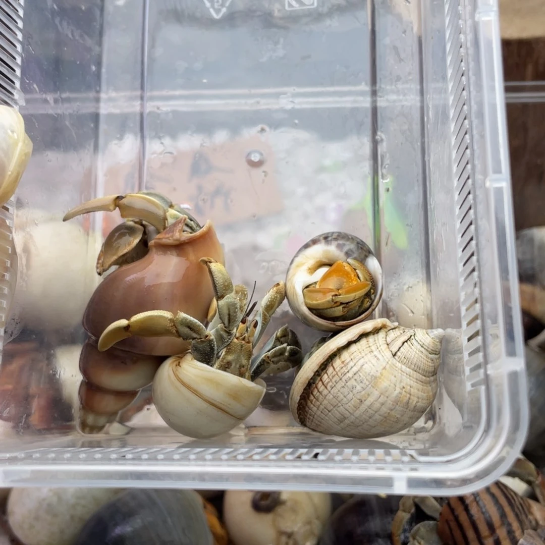 一****jojo我的女神爱你