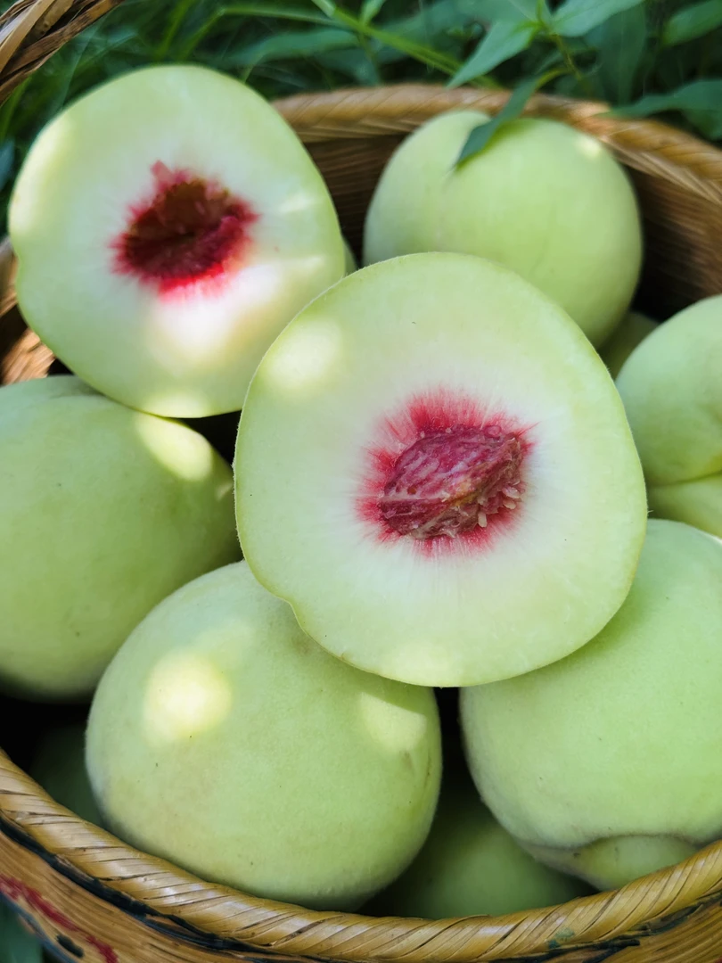 湖北秭归正宗高山脆蜜桃自然生长新鲜水果产地直销现摘现发