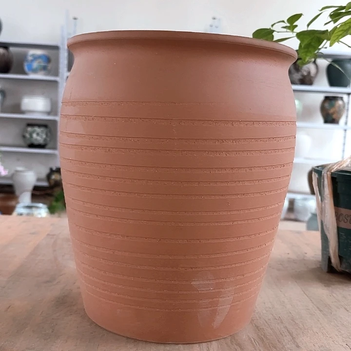 正品高31/25一个t