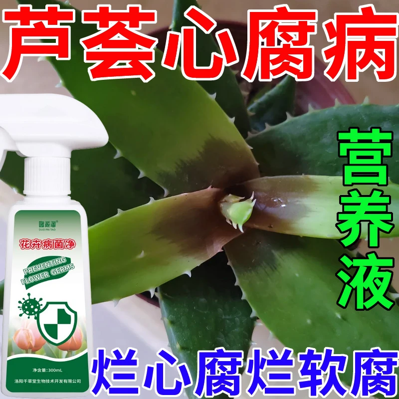 芦荟心腐病专用营养液肥料腐烂病软腐病烂根烂心黑腐化水用病菌净