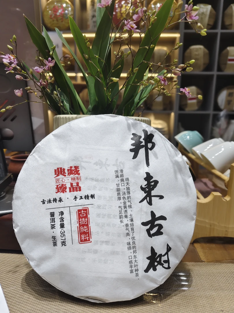 2023年 邦东古树头春头采  云南普洱生茶357g/饼