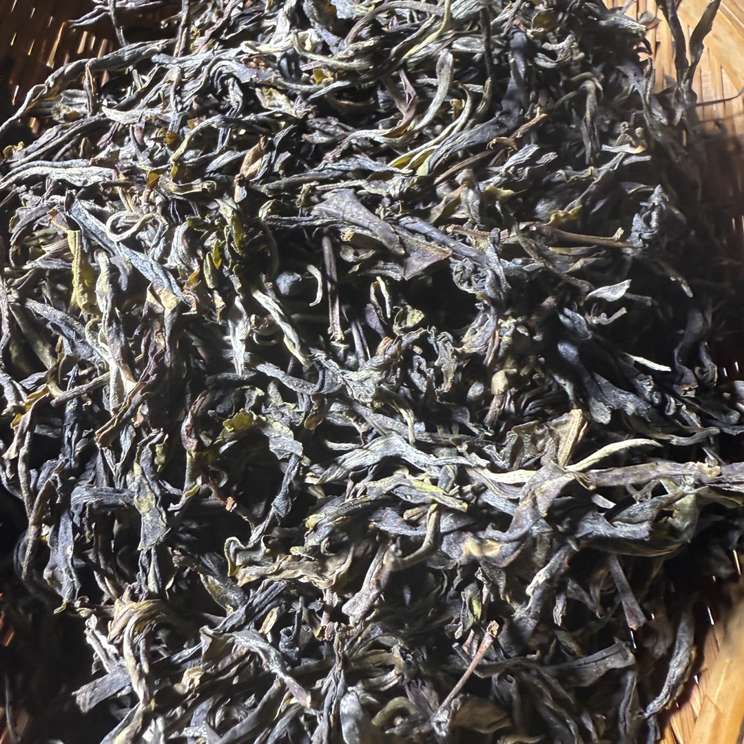 2025年绿水塘头春古树单株生普散茶 100g 9月8日 （9号）