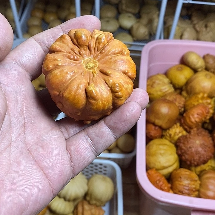 蓬***姐有机玻璃葫芦123456889