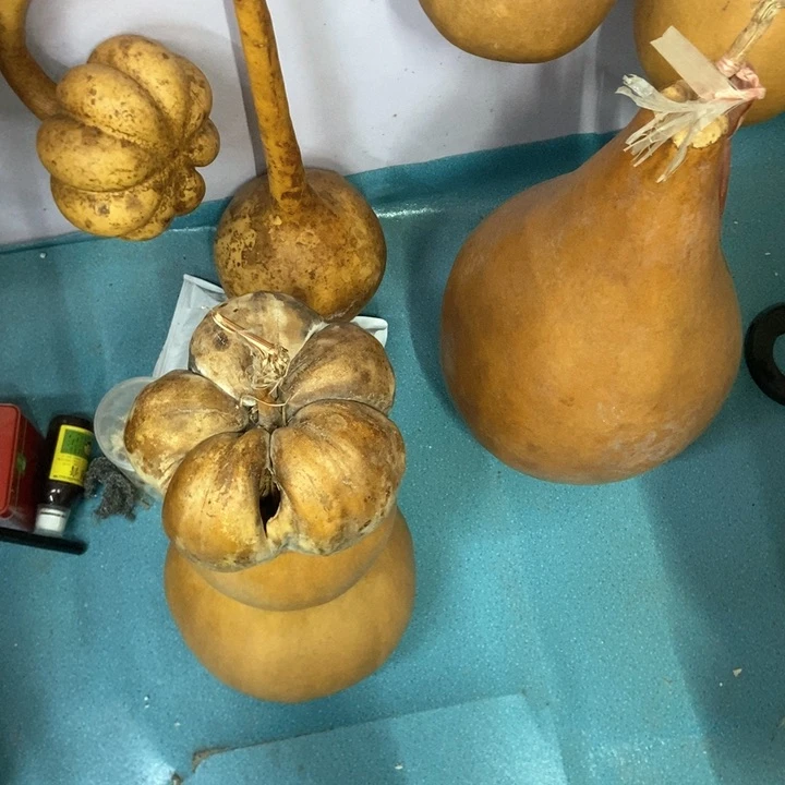 念**响精品莲花头葫芦里