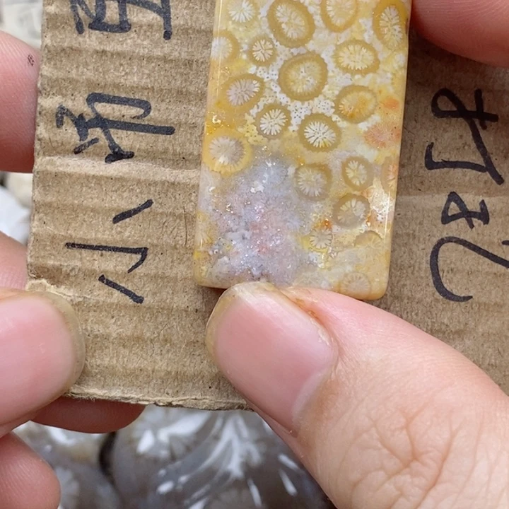 颈饰未镶嵌硅化珊瑚（珊瑚玉）元**结