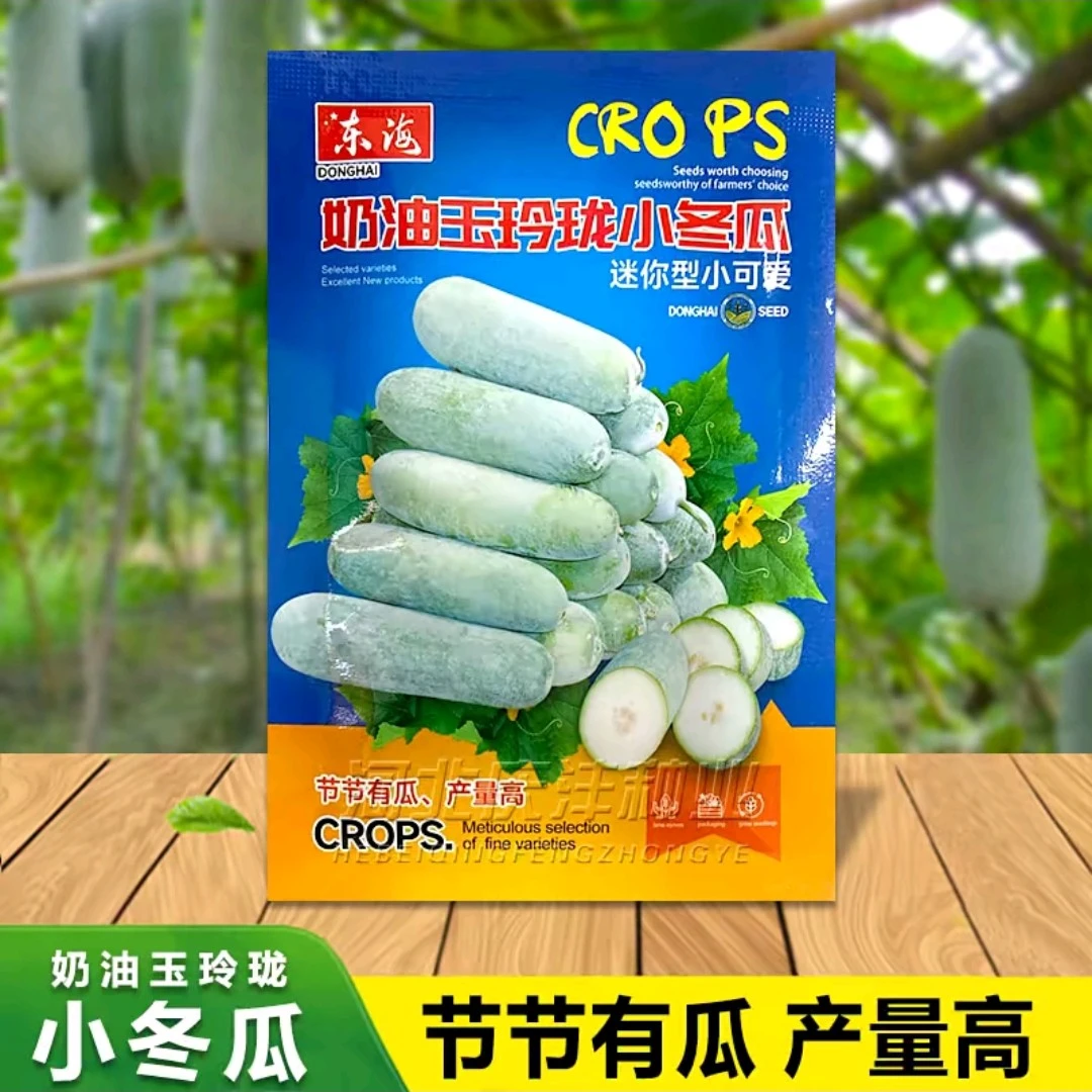 优籽农科种业奶油玉玲珑小冬瓜种子籽迷你型小冬瓜蔬菜种子高产