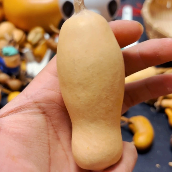 Y****18888888888888888888