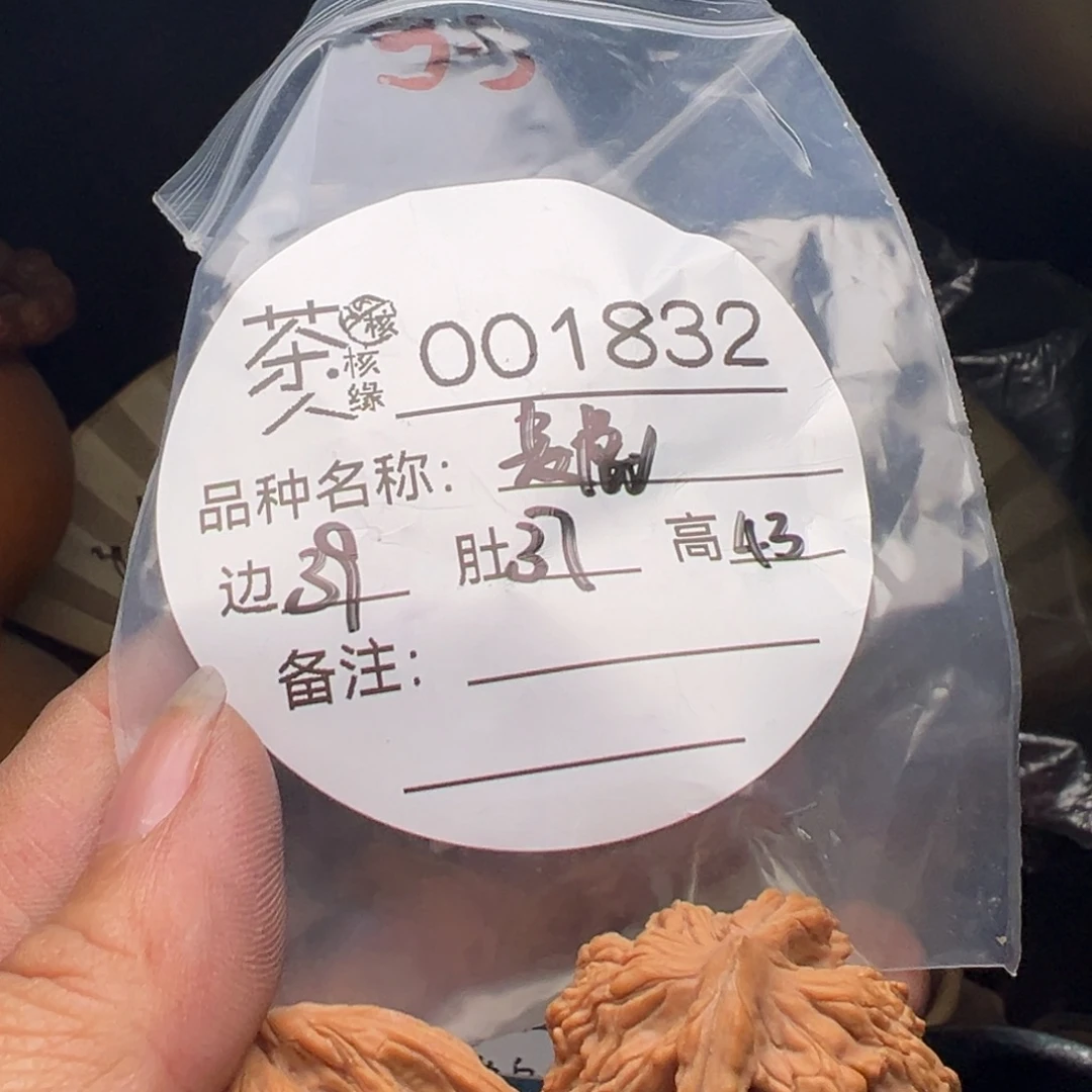 文玩核桃吊坠今天