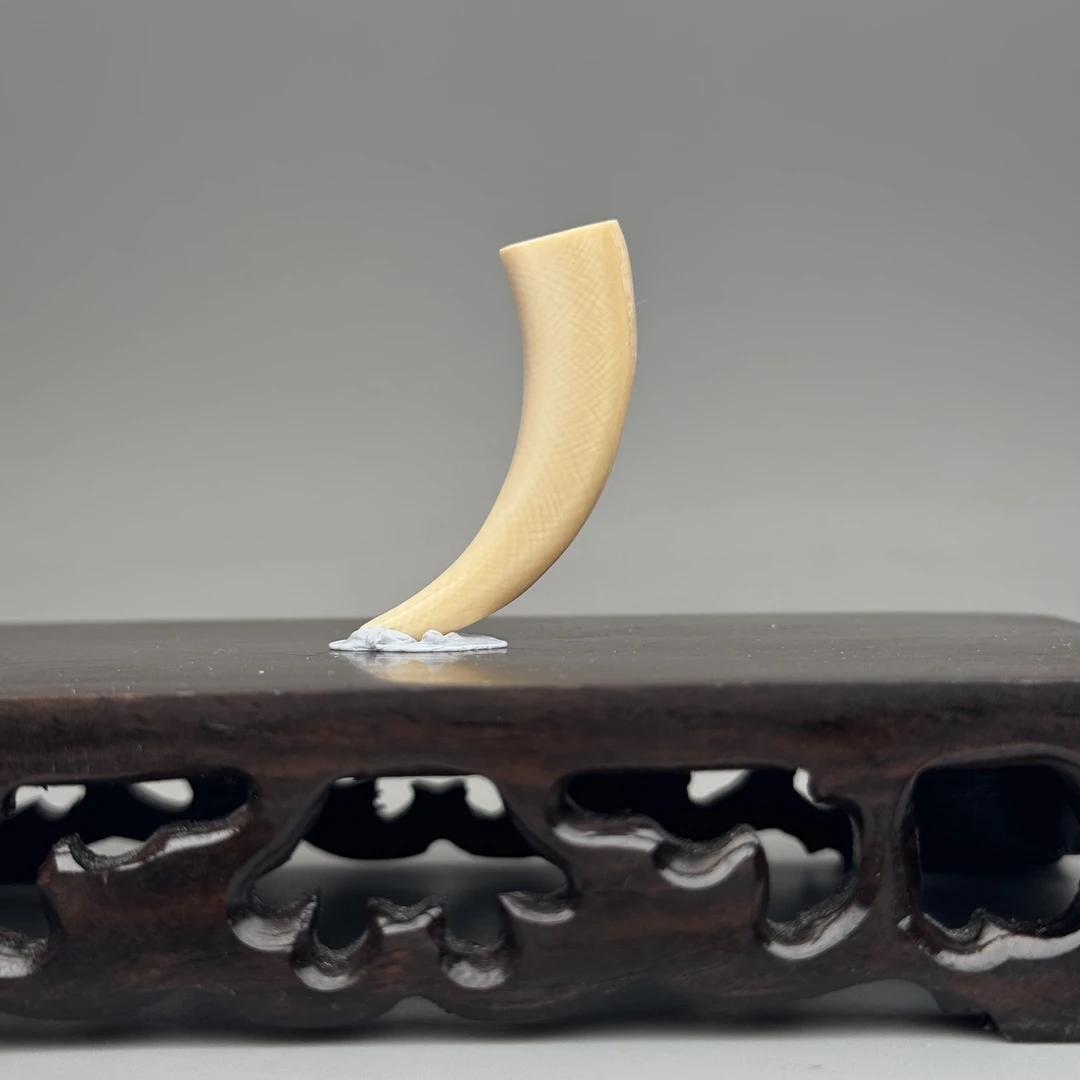 DEZHI/德志44*10*9mm4.4g牙尖吊坠天然猛犸牙C24