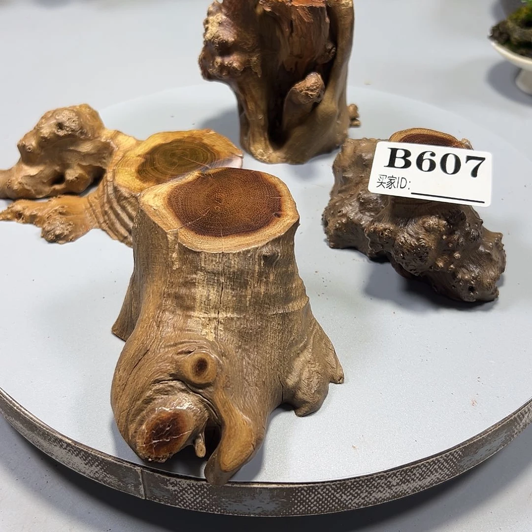 大果紫檀（缅甸花梨）佛*