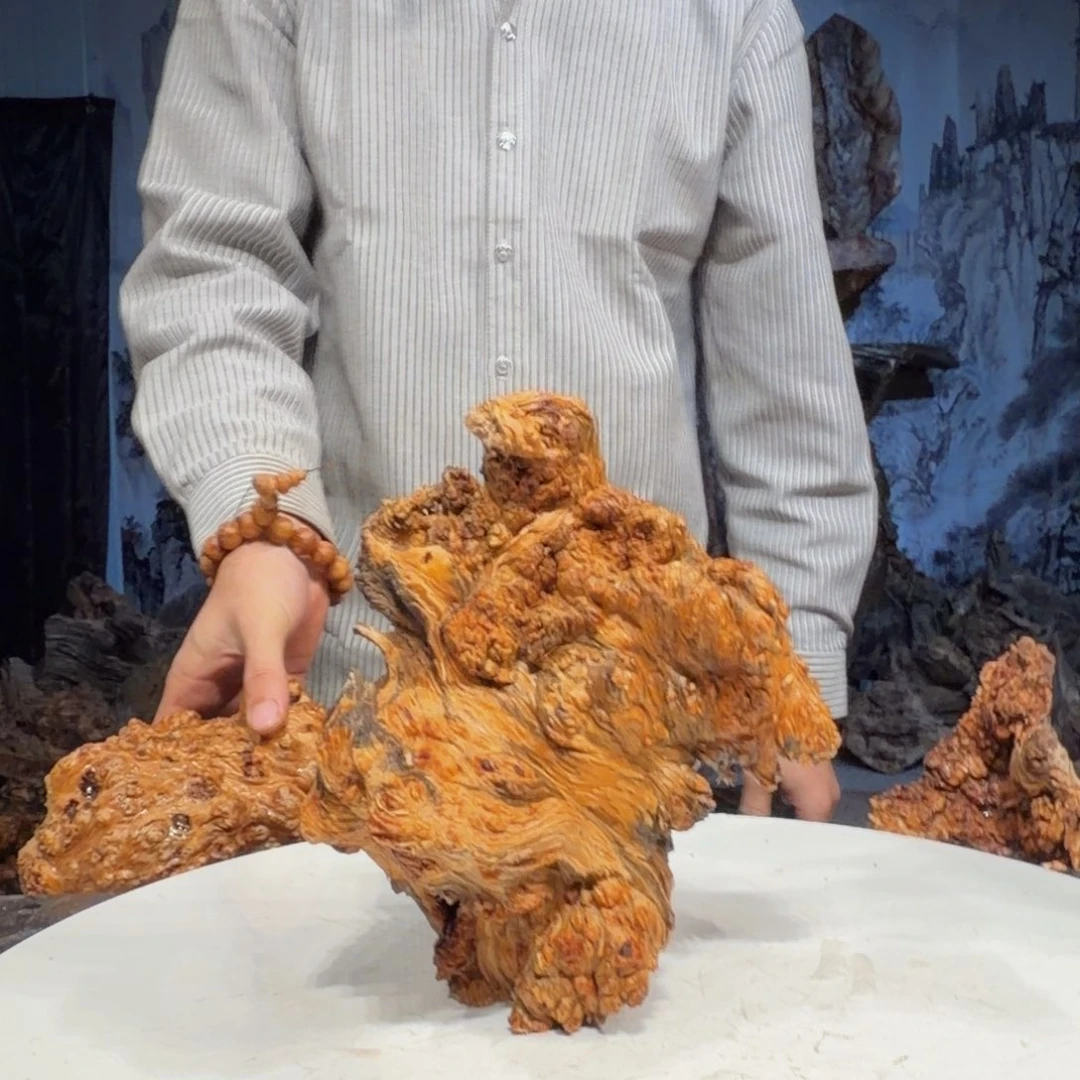 天***）木三丰琥珀木 天然摆件10