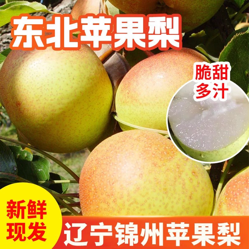 大号苹果梨5斤脆甜多汁新鲜水果整箱包邮