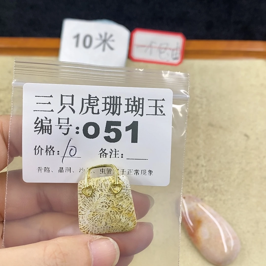 硅化珊瑚（珊瑚玉）1未镶嵌我****?