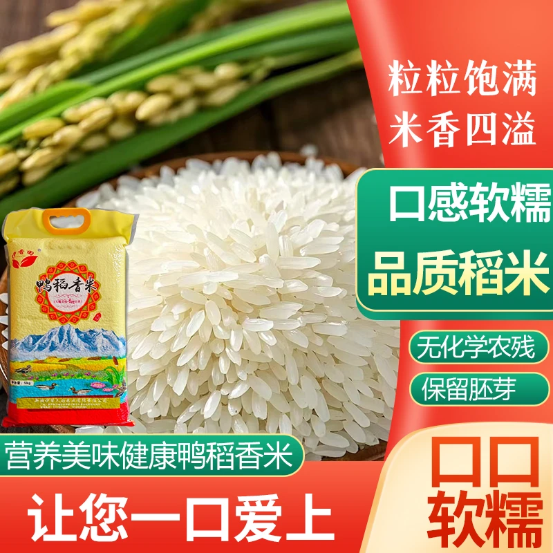 新疆察布查尔鸭稻香米优质米不打蜡煲仔饭稻香米新大米生态大米