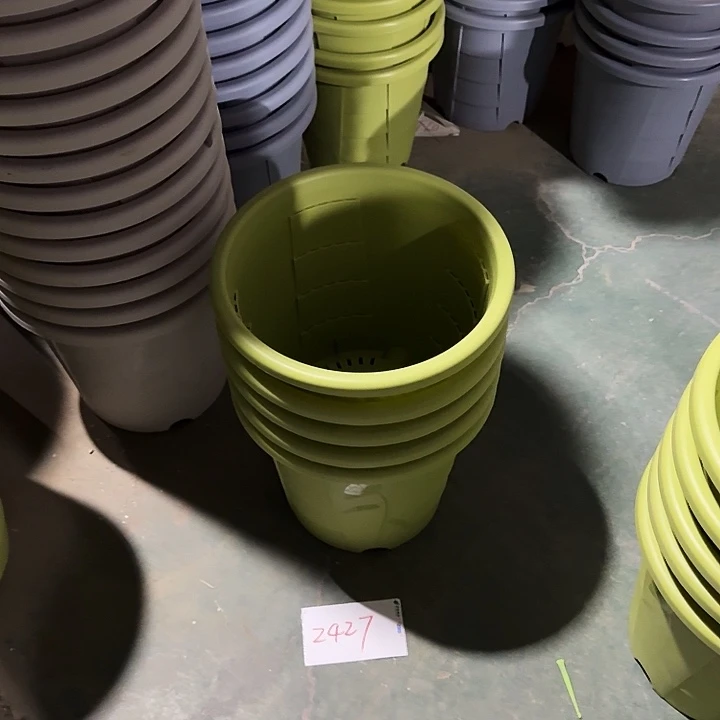 编号编号编号2427