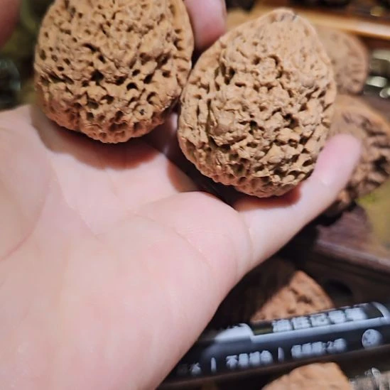 吊坠文玩核桃44金蝉