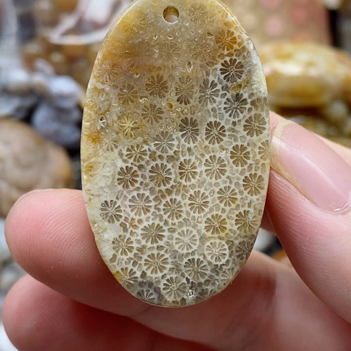 硅化珊瑚（珊瑚玉）颈饰未镶嵌有瑕小吊坠