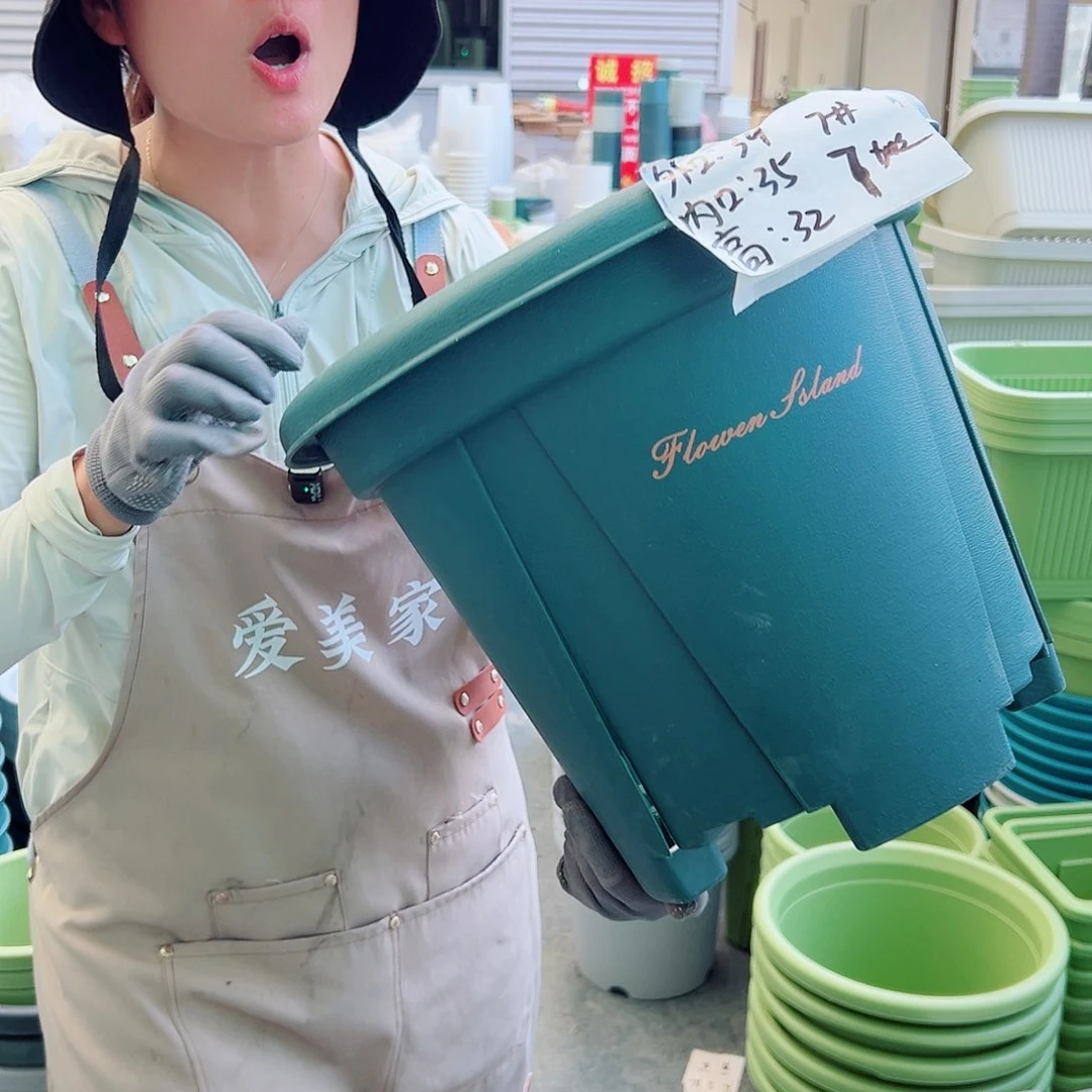 青山盆7#墨绿色5个无托