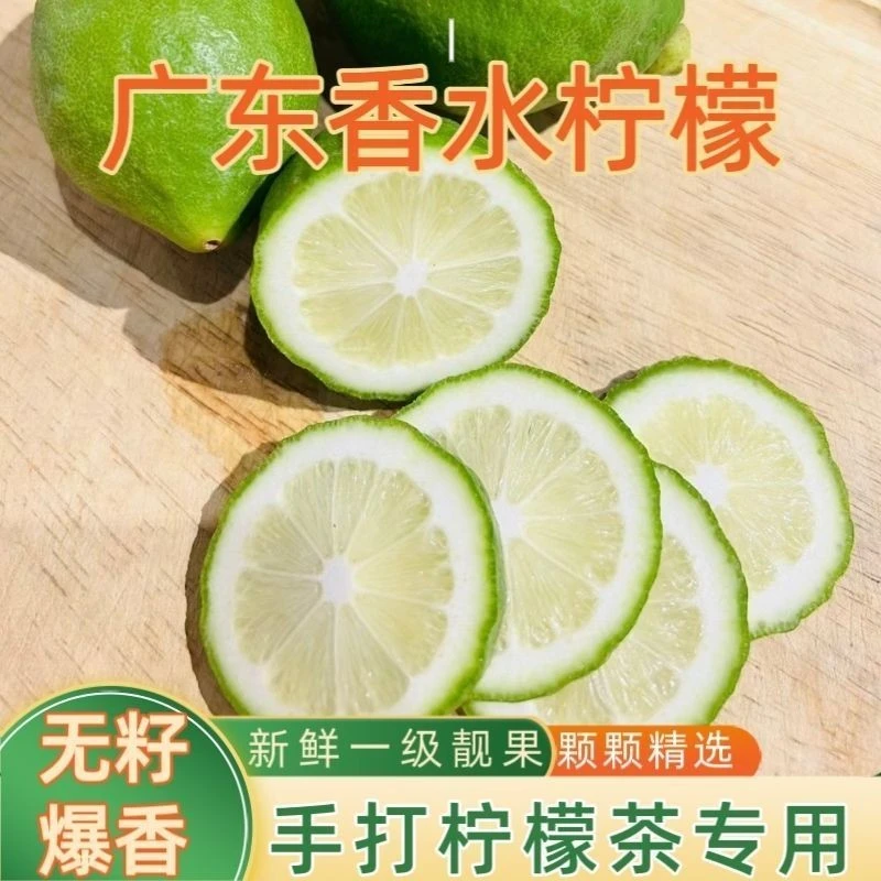 【果园直发】我们一直致力于为大家提供高品质的广东无籽香水柠檬