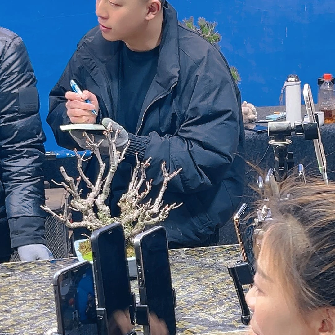 杂木盆景世界一一物一拍