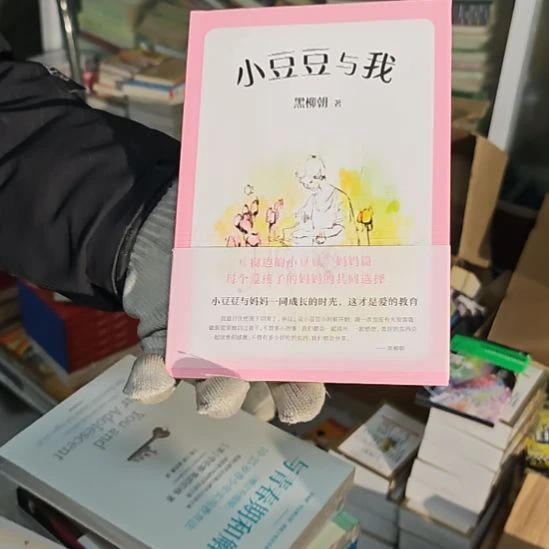 小豆豆与我平装库存书