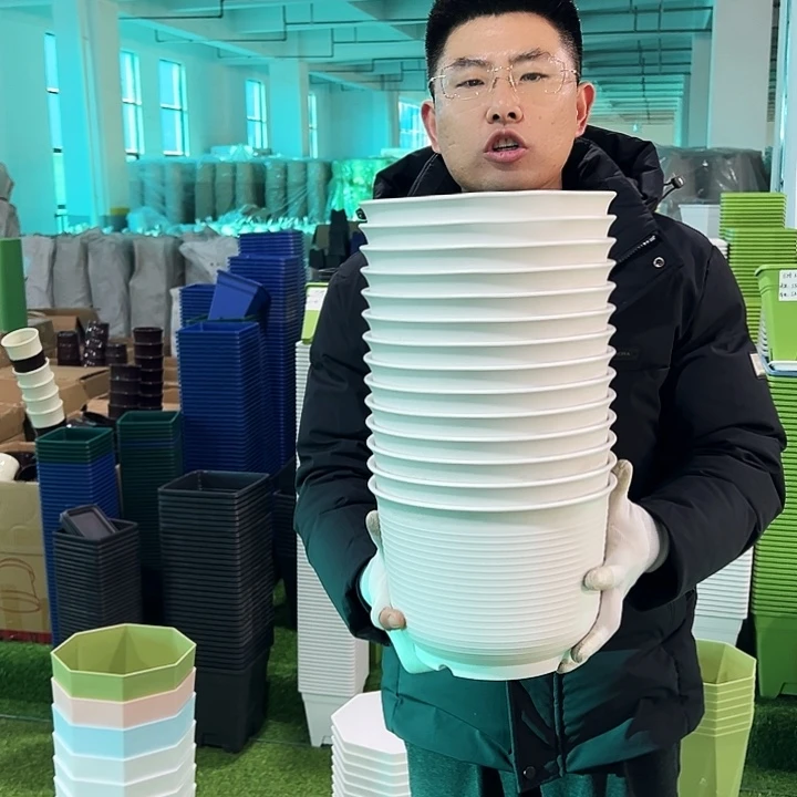 正品矮陶口24高17白色6只无托