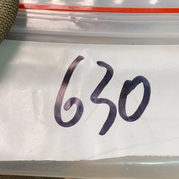 用***6娜娜文玩杂项专属链接