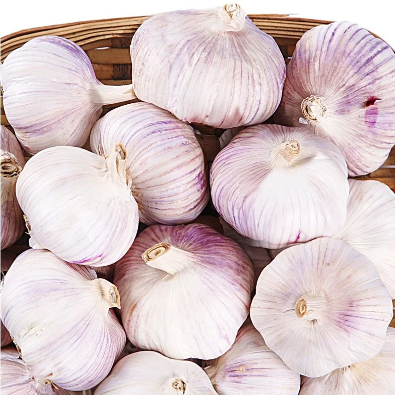 蒜头干蒜紫皮白皮蒜头农家自种时令蔬菜
