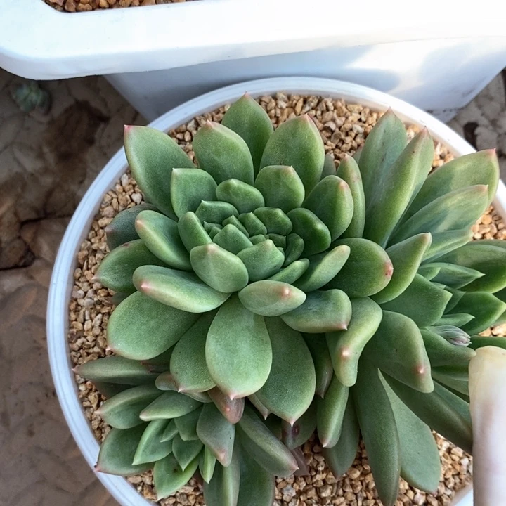 墨**星我是真的很喜欢