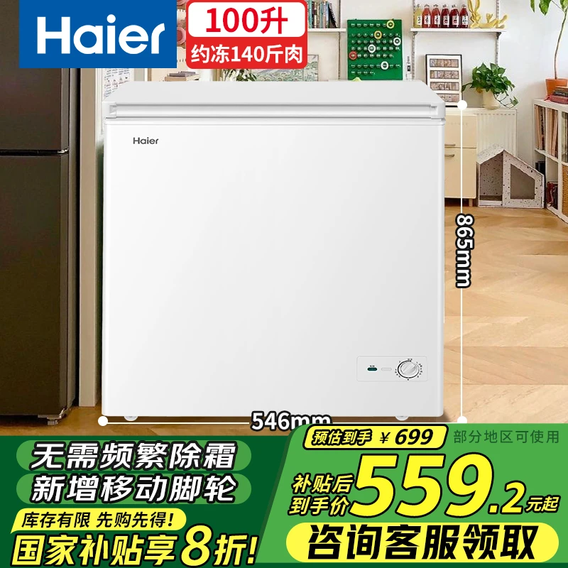 Haier/海尔冰柜家用小型冷冻柜100/200升大容量节能冷柜