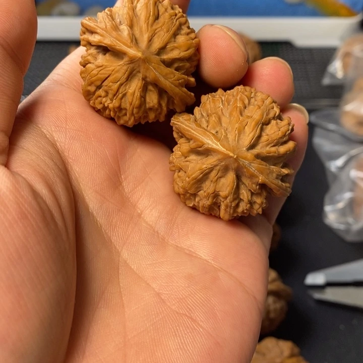 桃核把件5876545789