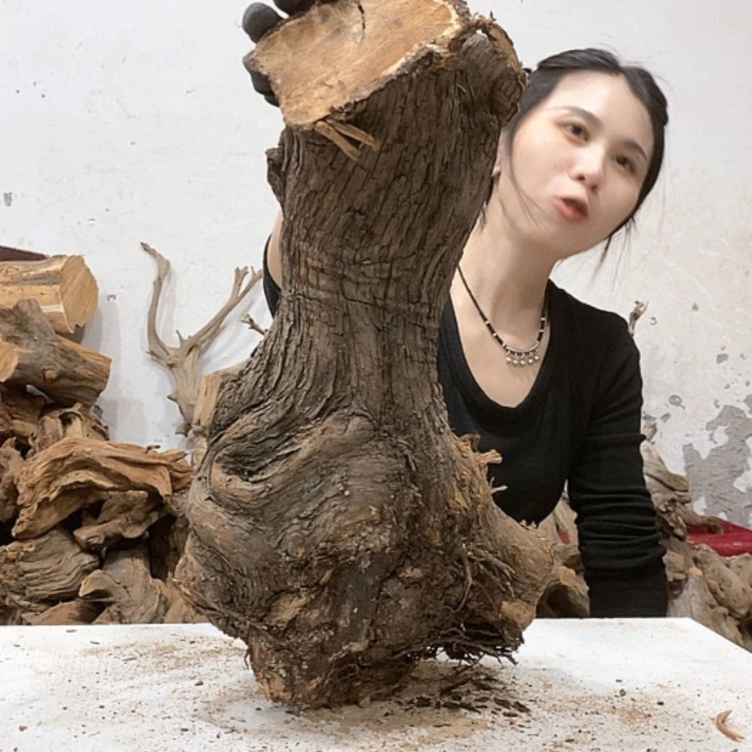 【闪购商品】柏木天*我们都是好孩子