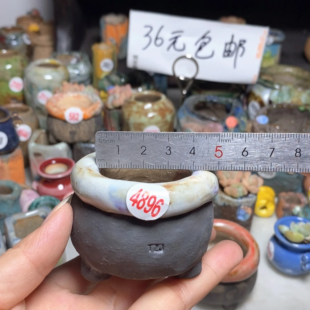 拍3送一个小礼物