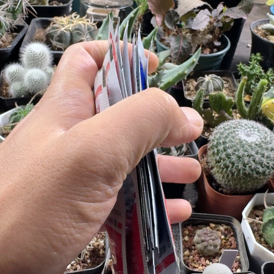 999蚧壳虫3包脱土发货