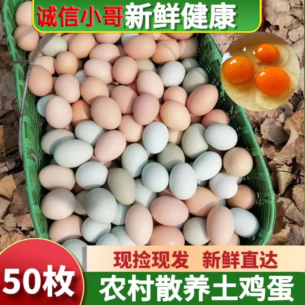 新鲜土鸡蛋正宗农家散养谷物饲养草鸡蛋农村柴鸡蛋整箱50枚可批发